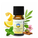 Ätherische Ölmischung von Zen'Arôme, belebend, 10 ml Flasche mit verschiedenen ätherischen Ölen sichtbar