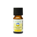 Belebende ätherische Ölmischung von Zen'Arôme in 10 ml Flasche, mit verschiedenen ätherischen Ölen für Aromatherapie.