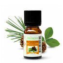 Zen'Arôme Kiefern-Ätherisches Öl in Flasche, natürliches ätherisches Öl, 10 ml, für Aromatherapie und Entspannung