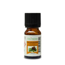 Ätherisches Kiefernöl von Zen'Arôme in 10 ml Flasche, naturbelassenes ätherisches Öl mit frischem Kiefernduft