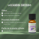 Zen'Arôme Lavandin Grosso ätherisches Öl in 10 ml Flasche, naturreines ätherisches Öl aus Lavandin Grosso Pflanze