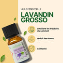 Zen'Arôme Lavandin Grosso ätherisches Öl in 10 ml Flasche, natürliches Lavendelöl mit entspannender Wirkung