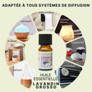 Ätherisches Lavandin Grosso Öl von Zen'Arôme in 10 ml Flasche, natürliches Lavendelöl für Aromatherapie und Entspannung.