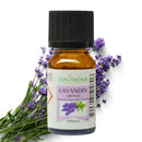 Zen'Arôme Lavandin Grosso ätherisches Öl in 10 ml Flasche, natürliches Lavendel-Öl für Aromatherapie und Entspannung.