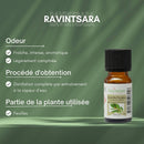 Zen'Arôme Ravintsara ätherisches Öl in 10 ml Flasche, natürliches Aroma für Aromatherapie und Wellness.