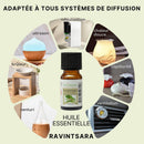 Ätherisches Ravintsara Öl von Zen'Arôme, 100 % natürlich, Flasche mit 10 ml für Aromatherapie und natürliche Heilmittel