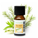 Flasche mit 10 ml Zen'Arôme Teebaum-Ätherisches Öl, natürliches ätherisches Öl in dunkler Glasflasche, Nahaufnahme