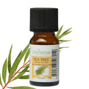 Zen'Arôme Teebaum-Ätherisches Öl in 10 ml Flasche, natürliches ätherisches Öl für Aromatherapie und Hautpflege.