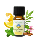 Ein 10ml amber glasflasche zen arôme belebendes ätherisches öl synergie mit schwarzen deckel und natürlichen zutaten ohne terpenentfernung