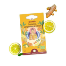 Gelbe rechteckige box zenarome bio kräutertee mit kurkuma ingwer zitronen und buddha illustration organischer herbal tea