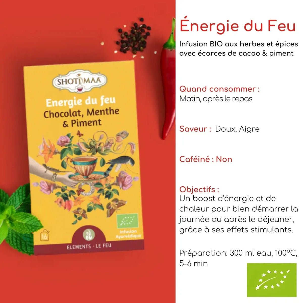 Bio-Kräutertee Fire Energy von Zen'Arôme mit Schokolade, Minze und Chili in einer Tasse, frisch und aromatisch.