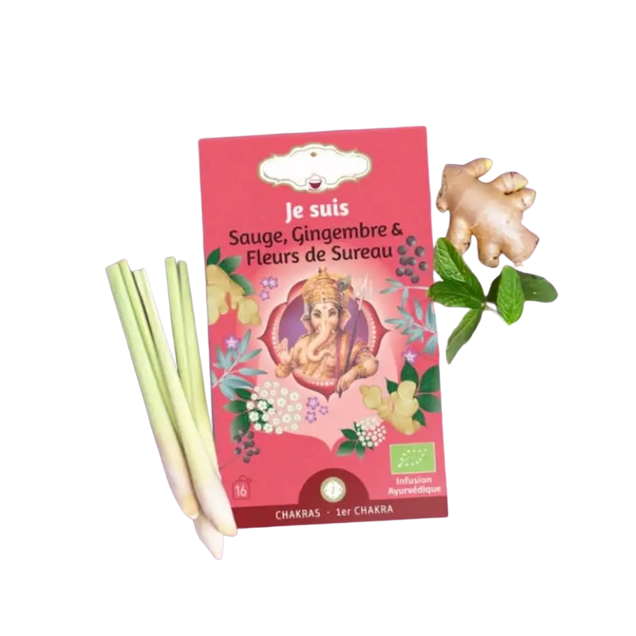 Bio-Kräutertee-Infusion Zen'Arome Ich Bin mit Salbei und Ingwer, 16 Beutel, zeigt die Teebeutel und die Verpackung.