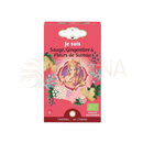 Pink rechteckige box bio kräutertee infusion zenarome ich bin mit ganesha motiv zur unterstützung des immunsystems