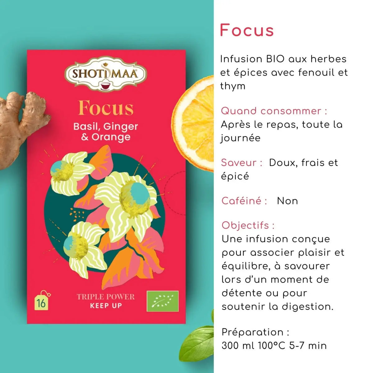 Bio-Kräutertee-Infusion Zen'Arôme Focus mit Basilikum, Ingwer und Orange in einer Tasse, frisch und aromatisch.