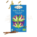 Blue rechteckige bio-kräutertee packung shoti maa voice of joy mit thymian fenchel lakritz im mana shop geschenkbox