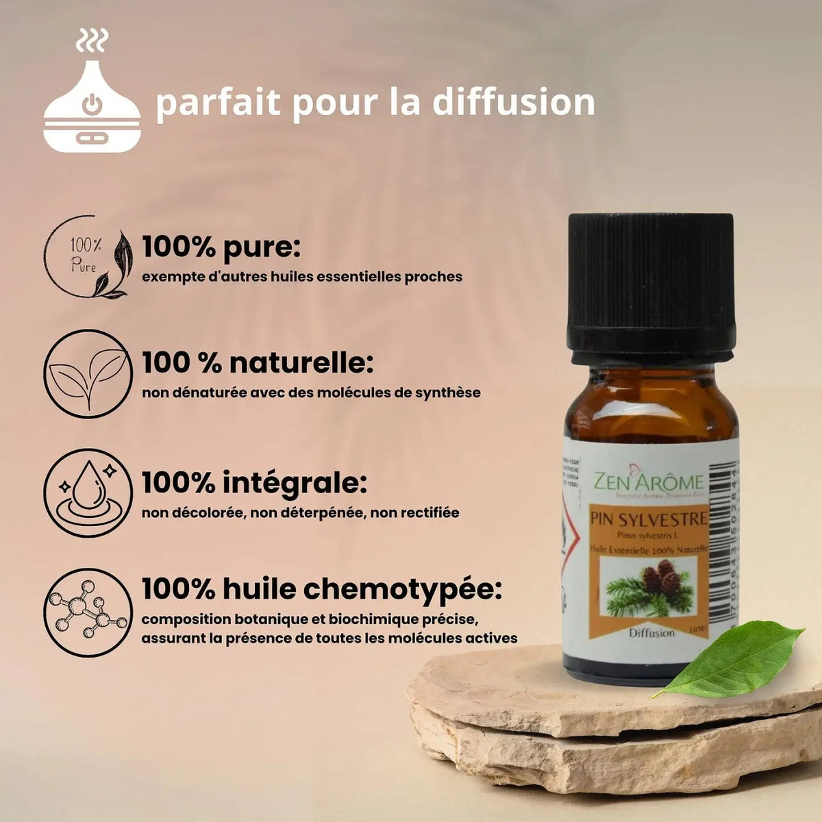 Zen'Arôme Kiefern-Ätherisches Öl in 10 ml Flasche, 100 % natürlich, ätherisches Öl mit frischem Kiefern-Duft