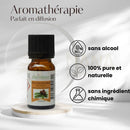 Ein kleines bernsteinfarbenes glasfläschchen kiefernöl von zen arome mit kompletter dampfdestillation ideal bei erkältung
