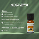 Kleine bernsteinfarbene glasflasche mit schwarzem deckel und zen arome kiefernöl ideal bei erkältung 10 ml