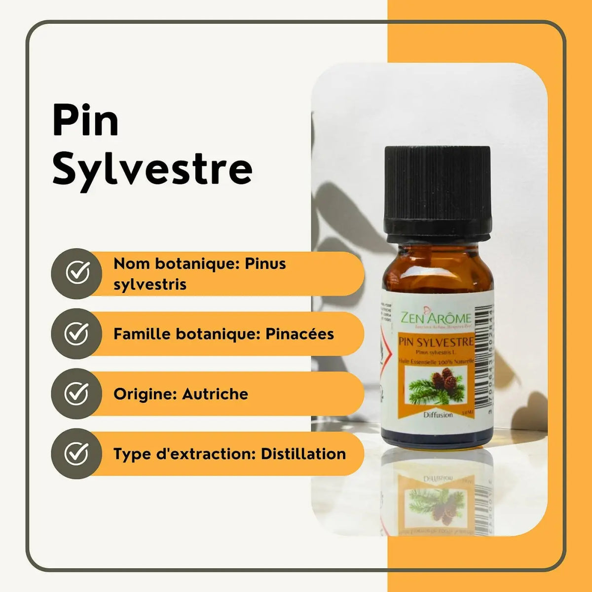 Ätherisches Kiefernöl von Zen'Arôme in 10 ml Flasche, natürliches ätherisches Öl mit frischem Kiefern-Duft
