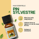 Amber glasflasche mit schwarzem deckel und weißem etikett zen arôme kiefernöl komplette dampfdestillation ideal bei erkältung