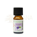 Ein 10 ml amberglasflasche zen arôme lavandin grosso ätherisches öl ohne terpenentfernung mit kompletter dampfdestillation
