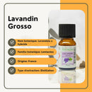 Kleine bernsteinfarbene glastropfflasche mit schwarzem deckel und weißem etikett zenarôme lavandin grosso ohne terpenentfernung komplette dampfdestillation 100 % natur ätherisches öl 10 ml