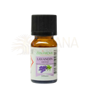 Kleine bernsteinfarbene glasflasche zen arome lavandin grosso ätherisches öl 100 % natürlich ohne terpenentfernung komplette dampfdestillation