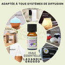 Kleine bernsteinfarbene glasflasche mit schwarzem deckel und lavendelblumen etikett zen’arôme lavandin grosso ätherisches öl ohne terpenentfernung komplette dampfdestillation 10 ml