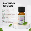 Kleine bernsteinfarbene glasflasche lavandin grosso ätherisches öl ohne terpenentfernung komplette dampfdestillation 10 ml zen’arôme