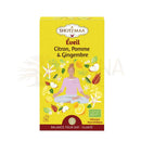 Gelbe rechteckige box shotima herbal tee éveil citron pomme gingembre organischer kräutertee für zen’arôme