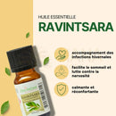 Kleine bernsteinfarbene glasflasche mit schwarzem verschluss und weißem etikett zen arôme ravintsara ätherisches öl komplette dampfdestillation ideal bei erkältung
