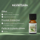 Ein kleines bernsteinfarbenes glasfläschchen mit schwarzem verschluss und weißem etikett ravintsara ätherisches öl komplette dampfdestillation ideal bei erkältung zen’arôme 10 ml