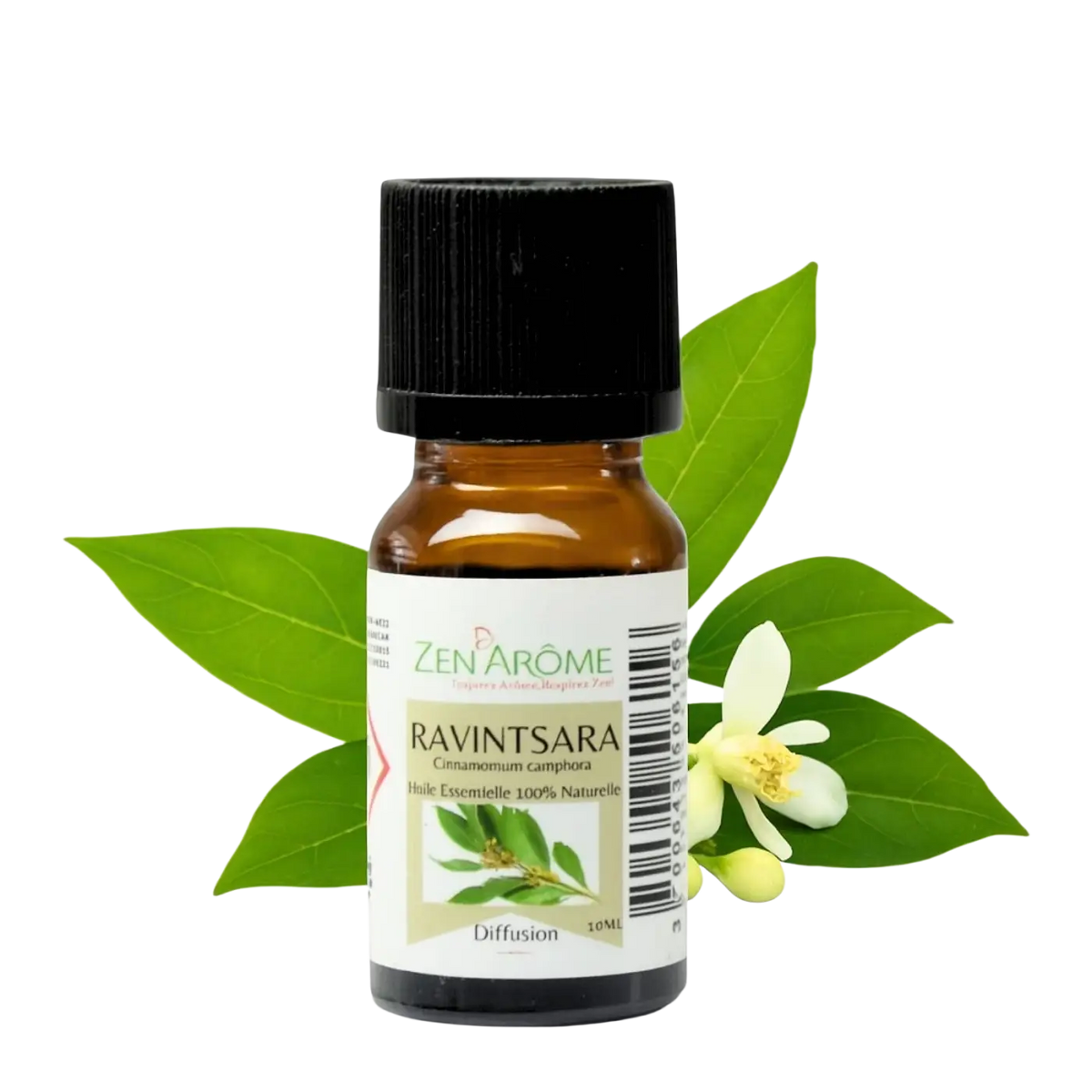 Ätherisches Ravintsara Öl von Zen'Arôme, 10 ml, natürliches ätherisches Öl zur Aromatherapie und Entspannung