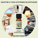 Eine kleine bernsteinfarbene glasflasche mit schwarzem verschluss und weißem etikett zen’arôme ravintsara ätherisches öl komplette dampfdestillation ideal bei erkältung
