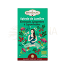 Grüne rechteckige box spirale de lumière bio kräutertee mit meditativer frau und blumen für belebende infusion