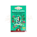 Tea box in green packaging from shotimaa labeled spirale de lumière featuring a woman meditating with botanicals belebende infusion