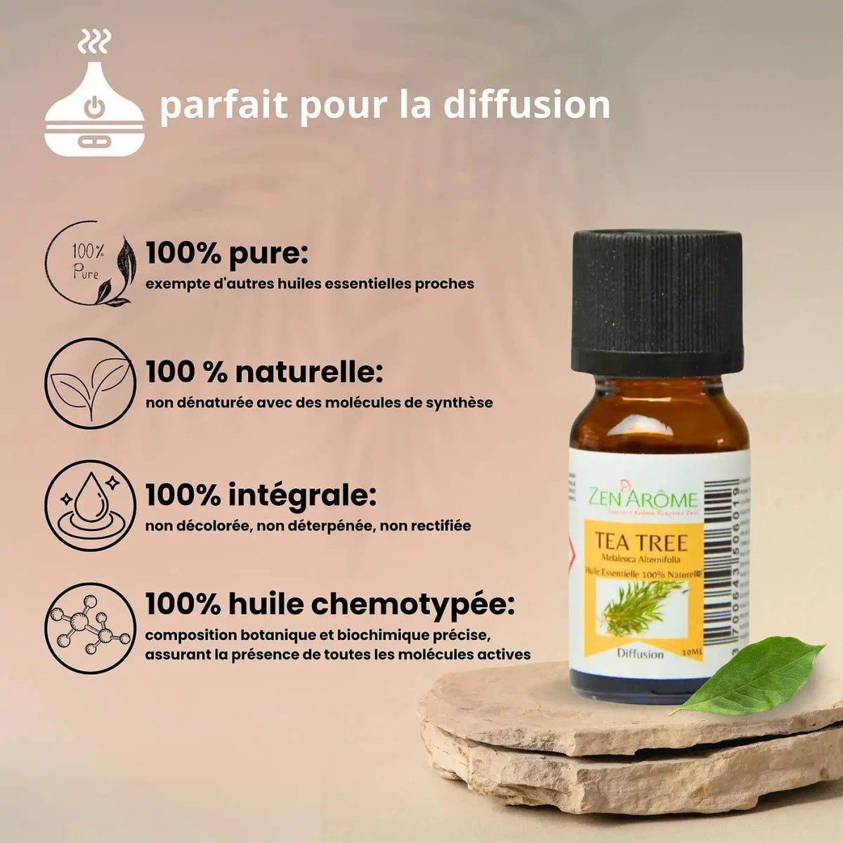 Zen'Arôme Teebaum-Ätherisches Öl, 100 % natürlich, 10 ml Flasche, hochwertiges ätherisches Öl für Aromatherapie und Hautpflege