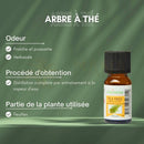 Kleine bernsteinfarbene glasflasche mit schwarzem kapsel und zen arome label teebaum ätherisches öl 10 ml manashop bild vergrößern dampf destillation
