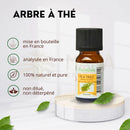 Kleine bernsteinfarbene glasflasche zen arôme teebaum ätherisches öl 100 % natürlich 10 ml manashop bild vergrößern dampf destillation