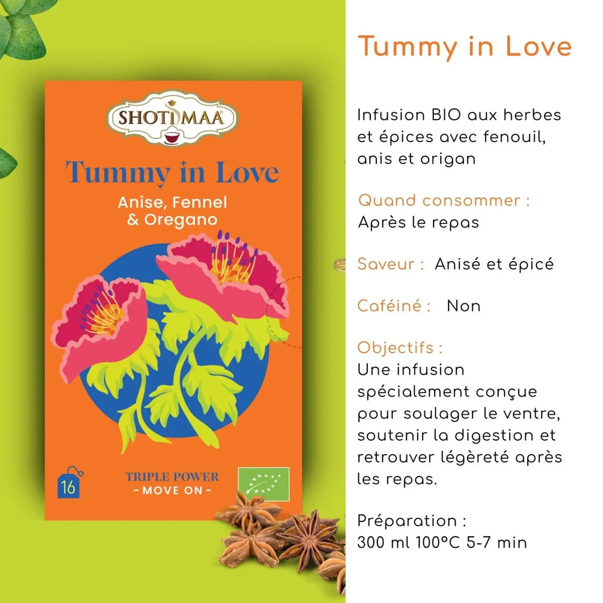Bio-Kräutertee Zen'Arôme Tummy in Love mit Fenchel, Anis und Oregano, natürlicher Entspannungstee in Teetasse