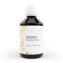 Zinzino BalanceOil+ Omega-3 Nahrungsergänzung mit Orangen, Zitrone und Minze, Flasche mit Zitrusfrüchten und Ölflasche